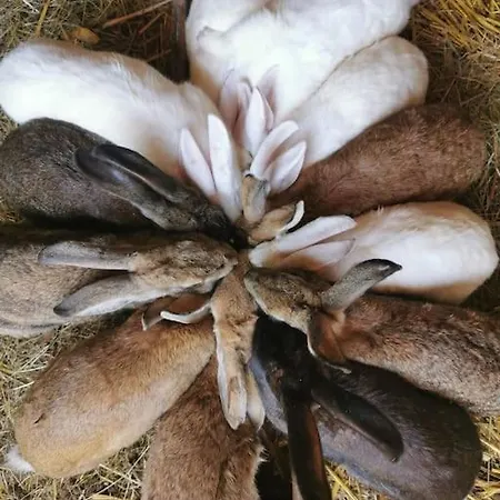 Palazzo K Савона